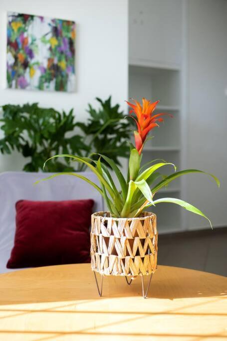 Best Spot Apartment In アテネ エクステリア 写真